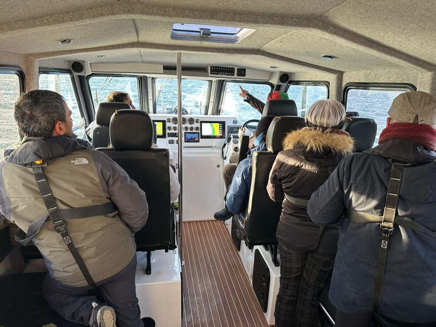 Tromsø: Orca and Whale Watching comfort heated boat Trip - Key points to know before booking