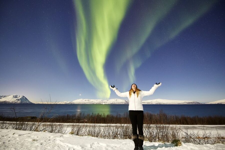 Tromsø: Private 6-Hour Aurora Chase by Minivan - Following The Forecast Through Fjords And Inland Roads