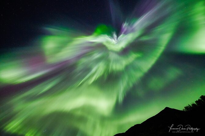 Tromso: Private Aurora Chase by Minivan - What can go wrong on this six-hour outing