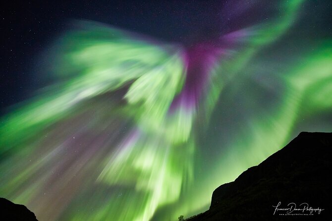 Tromso: Private Aurora Chase by Minivan - From Tromsø’s waterfront to the fjords