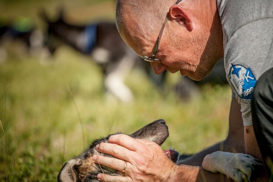 Tromsø: Puppy Training at the Husky Kennel with Lunch - Why this is more than a puppy visit