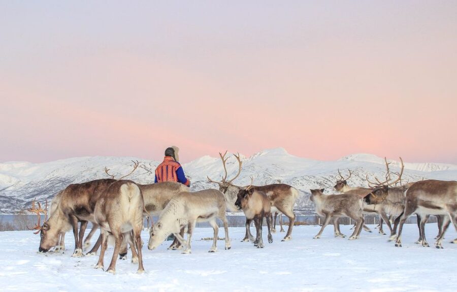 Tromsø: Reindeer Camp and Sami Cultural Tour with Lunch - Sami stories, family life, and the sound of joik