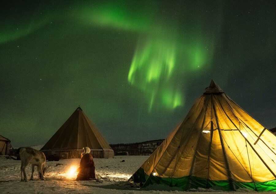 Tromsø: Reindeer Camp Dinner with Chance of Northern Lights - From Tromsø Havn to the reindeer camp