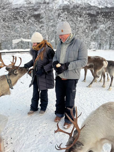 Tromsø: Reindeer Experience at a Sami Camp - Key points at a glance