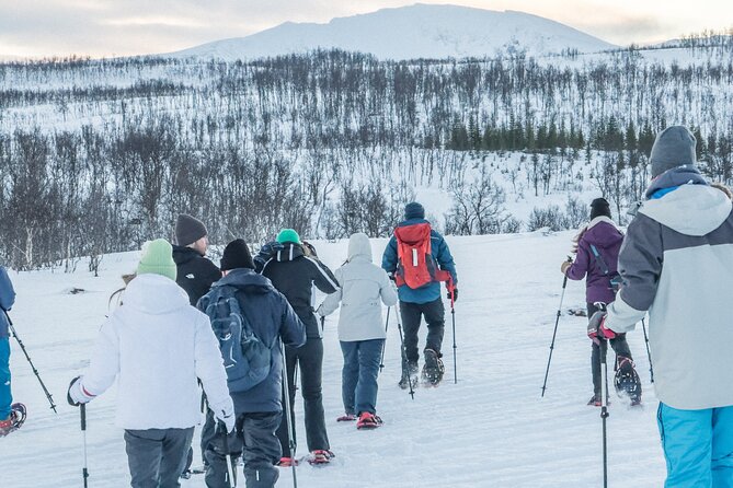 Tromso: Reindeer Feeding and Snowshoeing Tour with Lunch - What the $152.16 price covers