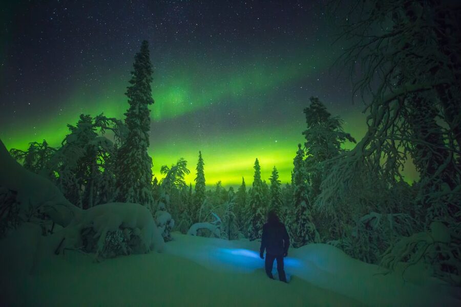 Tromsø: Reindeer Sled, Dinner, and Chance of Northern Lights - Bidos, salmon salad, and chocolate cake