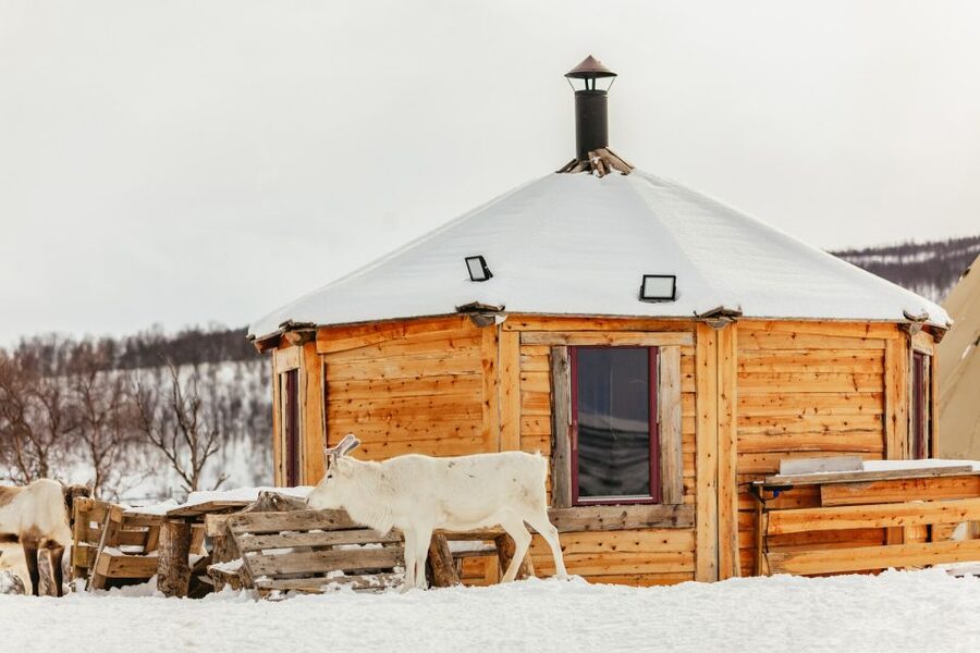 Tromsø: Reindeer Sledding & Feeding with a Sami Guide - Staying warm and getting ready
