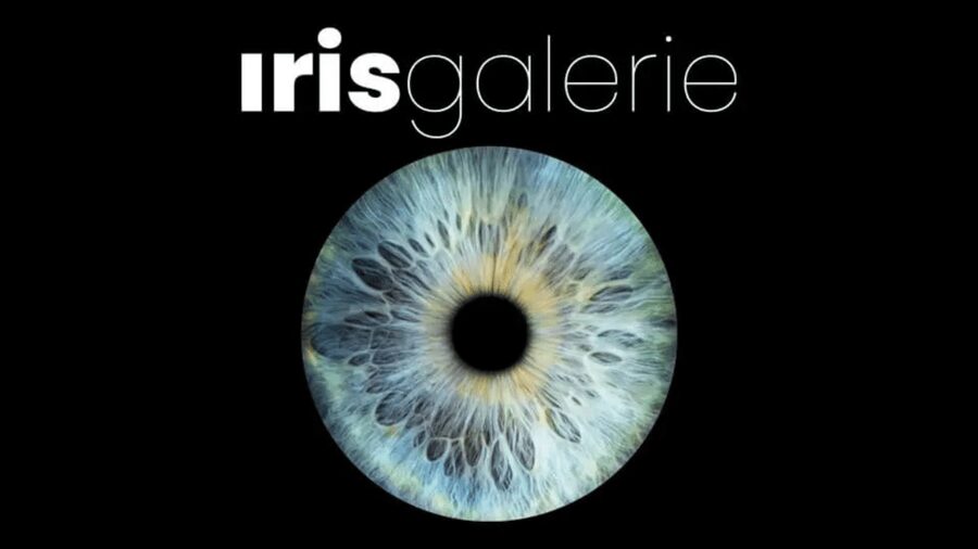 Tromsø: Reveal Your Eye Experience at the Iris Galerie - The Real Cost of the Iris Artwork