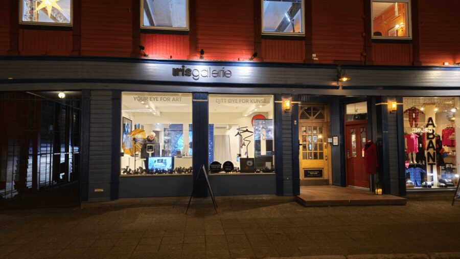 Tromsø: Reveal Your Eye Experience at the Iris Galerie - Accessibility and Practical Comfort