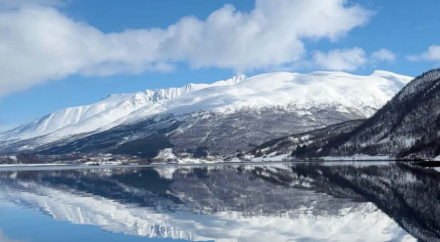 Tromsø’s Top-Rated Fjord & Fishing Cruise – All-Inclusive - Key points to know before you book