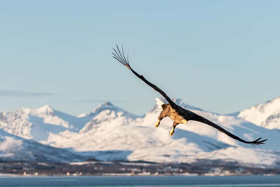 Tromsø’s Top-Rated Fjord & Fishing Cruise – All-Inclusive - How much value do you get for $142?