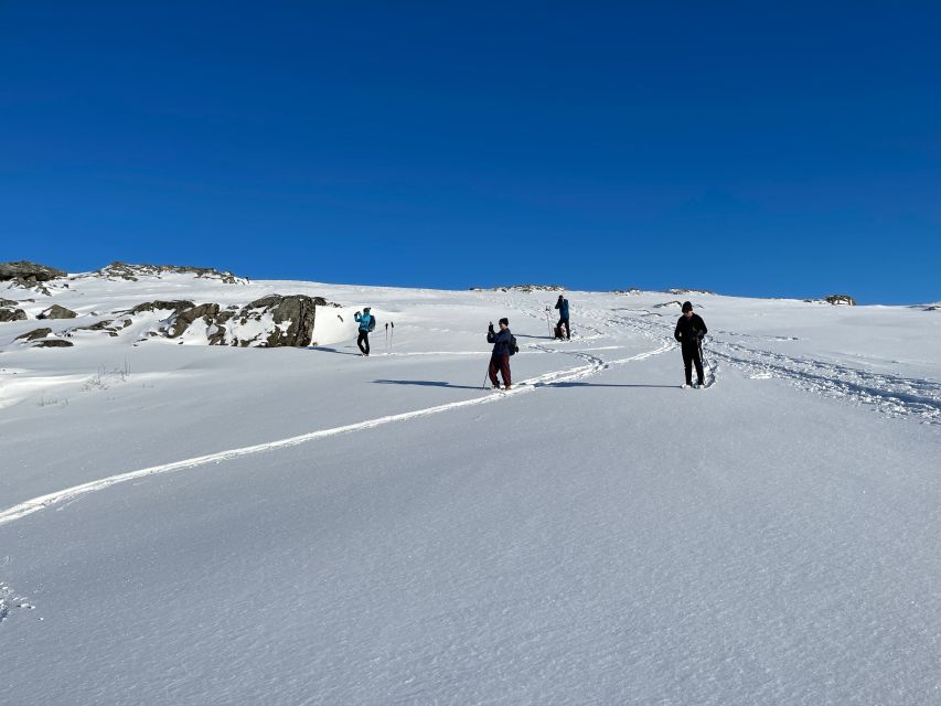 Tromso: Scenic & Eco-Friendly Snowshoeing Tour - What the local guide adds
