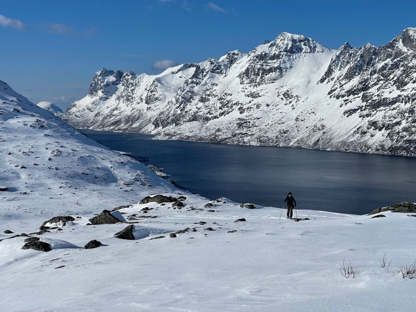 Tromso: Scenic & Eco-Friendly Snowshoeing Tour - The viewpoint pause and the Arctic cup of cocoa