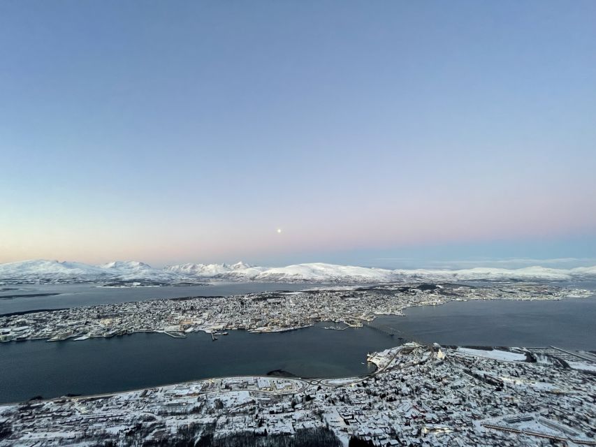 Tromso: Sightseeing Cruise by Catamaran with Snacks & Drinks - Wildlife watching with sea eagles and seals