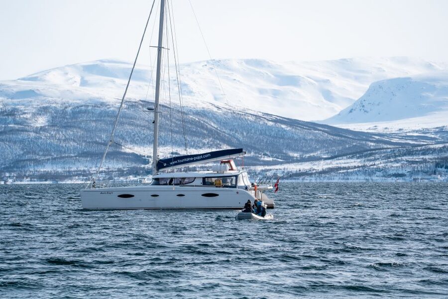 Tromso: Sightseeing Cruise by Catamaran with Snacks & Drinks - What two hours really gives you