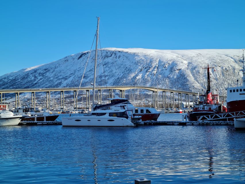 Tromso: Sightseeing Cruise by Catamaran with Snacks & Drinks - Practical details for a smooth outing