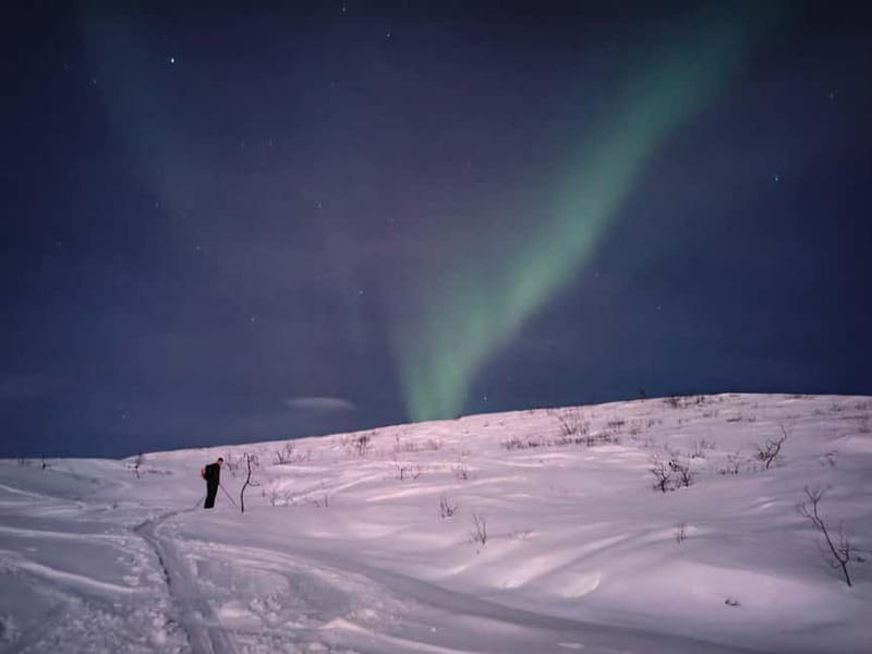 Tromsø: Ski touring (ski de randonnee) - Is $191 a fair price?