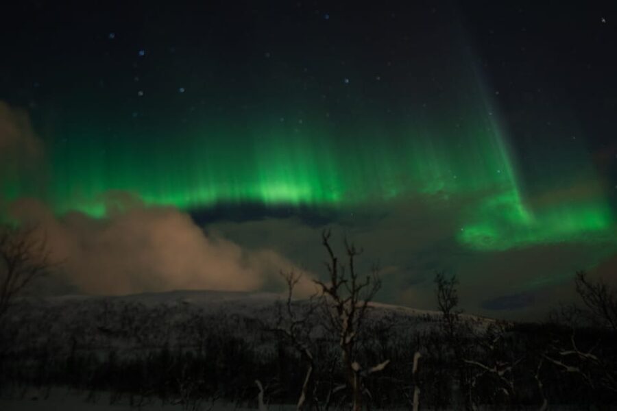 Tromsø: Small-Group Adventurous Northern Lights Hunt - What $118 covers, and where the value lies