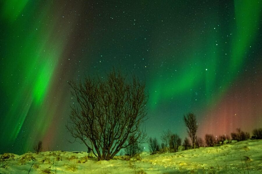 Tromsø: Small-Group Adventurous Northern Lights Hunt - How the Northern Lights chase works