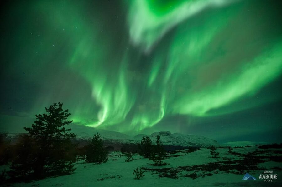 Tromsø: Small Group Northern Lights Hunt - Who will enjoy this tour most