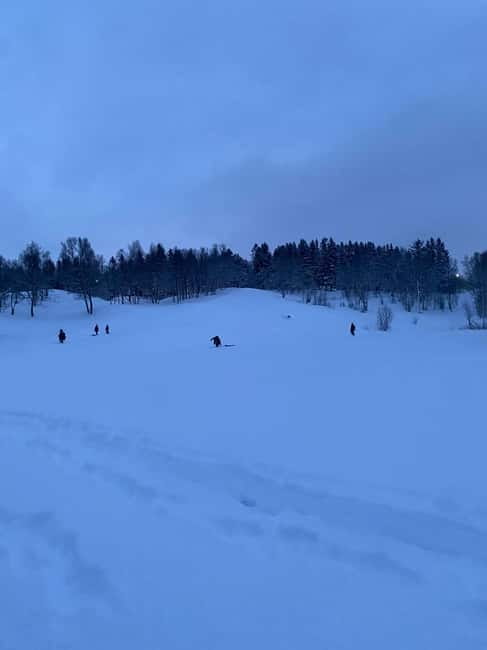Tromsø: Snow Sledding, Mini Skiing, Lasso and Reindeer Hides - The good and less-good parts