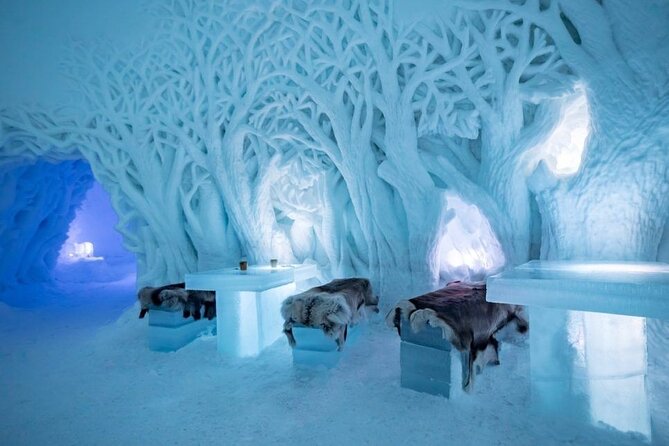 Tromsø Snowmobiling, Ice Domes Snow Park, and Reindeer Visit - Learning to drive a snowmobile