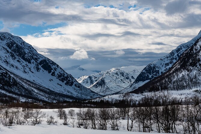 Tromso-Snowshoeing Excursion to Viewpoint - Coffee, tea, muffins, and a very welcome pause