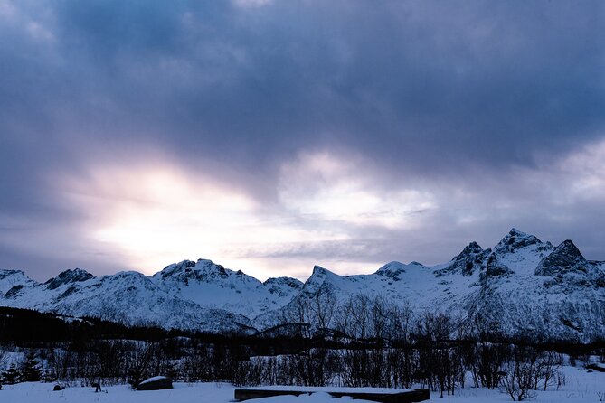 Tromso-Snowshoeing Excursion to Viewpoint - Returning to town with time left in your day