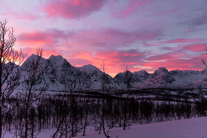 Tromso-Snowshoeing Excursion to Viewpoint - Warm suits, boots, and snowshoes take the worry out of packing