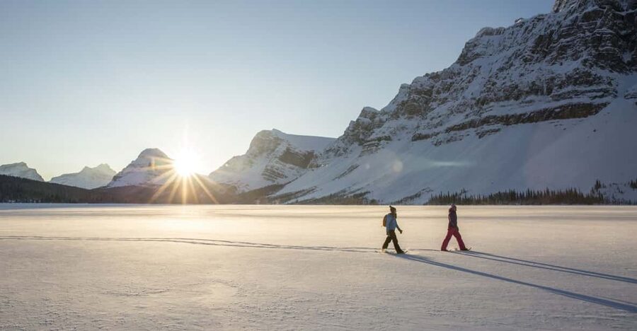Tromsø: Snowshoeing in Scenic Landscape - Snowshoes turn Tromsø’s winter woods into a walking route