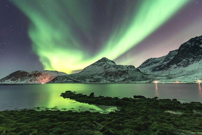 Tromso Snowshoeing - Valley, Fjord Views, Wildlife, Meal & Pickup - Key points to know before you book