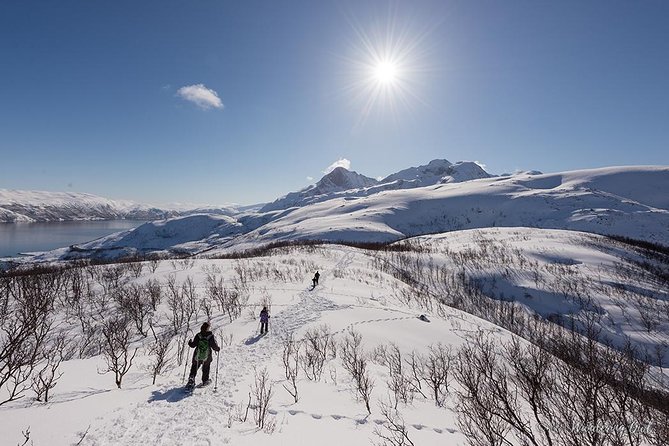 Tromso Snowshoeing - Valley, Fjord Views, Wildlife, Meal & Pickup - Lunch at the high point