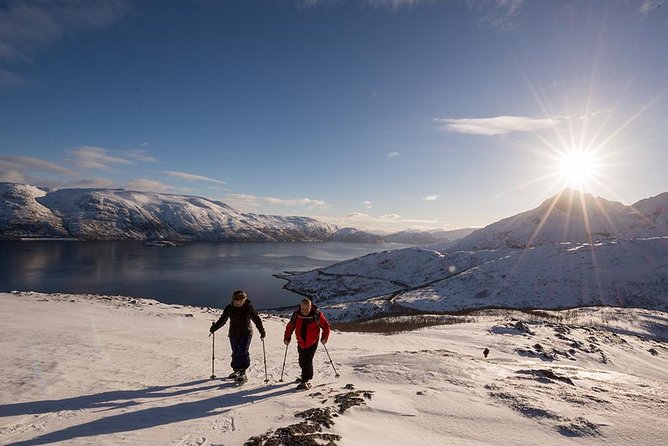 Tromso Snowshoeing - Valley, Fjord Views, Wildlife, Meal & Pickup - Photos included, with a practical catch