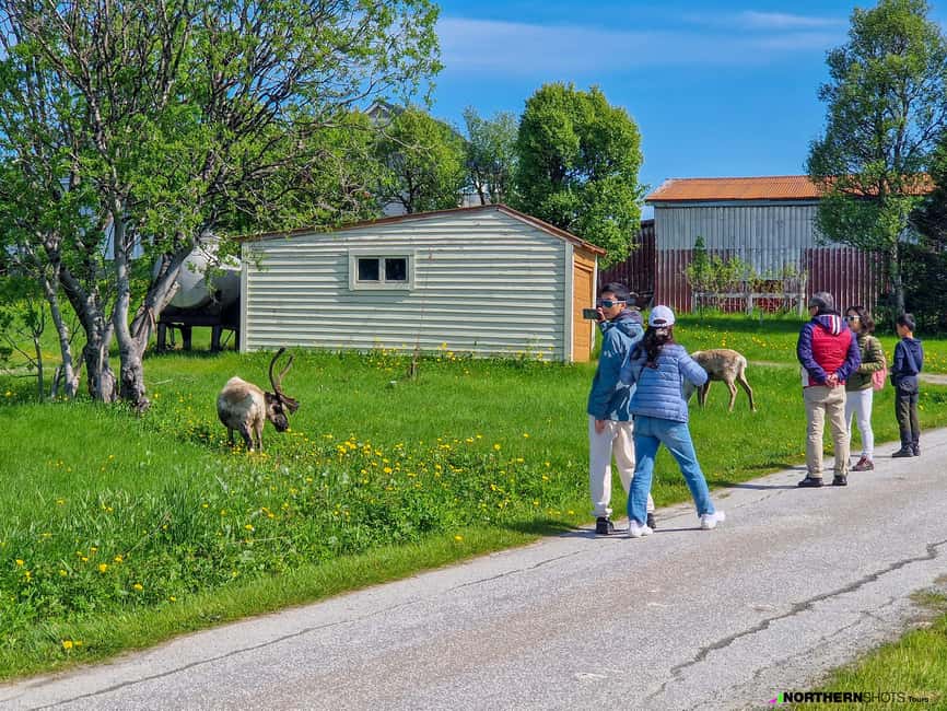 Tromsø: Sommaroy Fjord Tour with Lunch Option & Midnight Sun - What to bring and how to prepare