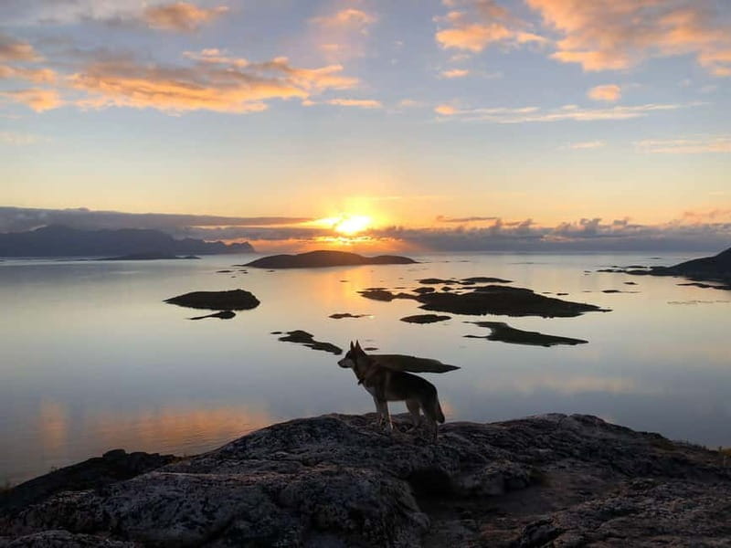 Tromsø: Sommarøy Islands Midnight Sun Tour - Arriving in Sommarøy by late-night light