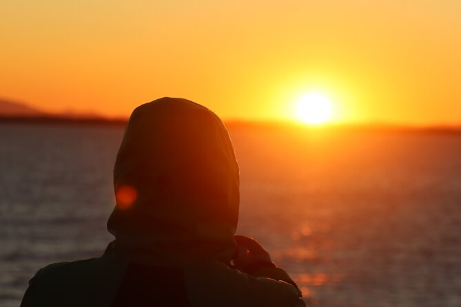 Tromsø & Sommarøy - Private coastal tour with a local - What the private price means for your group