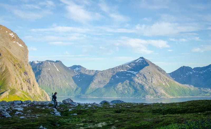 Tromsø: Summer Day Hike in the wilderness - Looking for Arctic wildlife and berries
