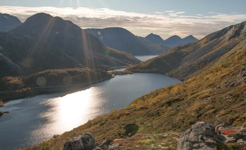 Tromsø: Summer Day Hike in the wilderness - Who should book this hike?