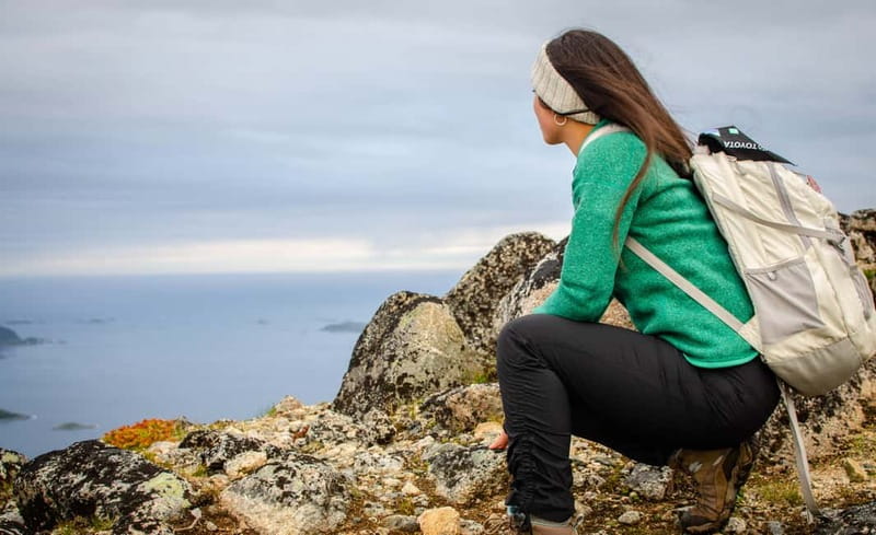 Tromsø: Summer Day Hike in the wilderness - Should you book Brosmetinden?