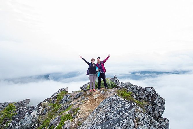 Tromsø: Summer Day Hike with Wandering Owl - Photos that arrive after the hike