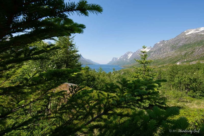 Tromsø: Summer Fjord Road Trip with Citizen Science - Who will enjoy this Kvaløya road trip?