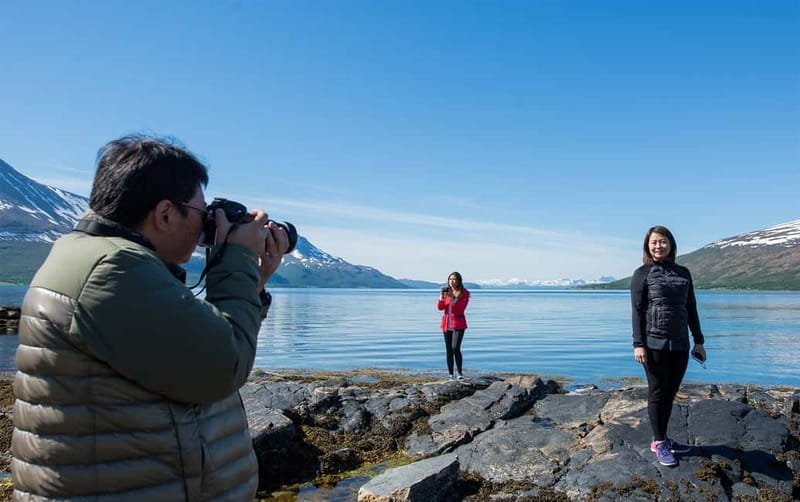 Tromsø: Summer Fjord Road Trip with Citizen Science - Wildlife watching on an unscripted route