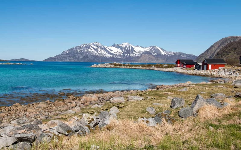 Tromsø: Summer Fjord Road Trip with Citizen Science - A picnic with fjords instead of four walls