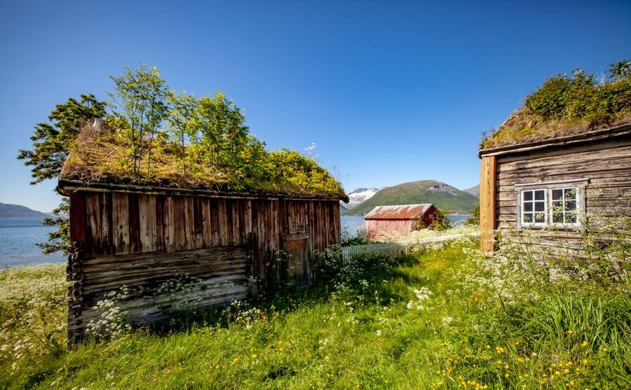 Tromsø: Summer Fjord Road Trip with Citizen Science - Taking part in citizen science
