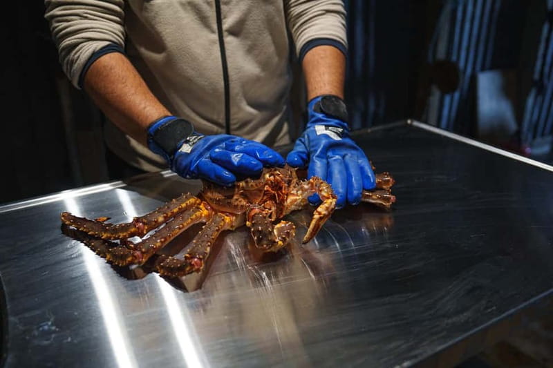 Tromsø: Tasty King Crab Adventure - From Magic Ice Bar to the fjords
