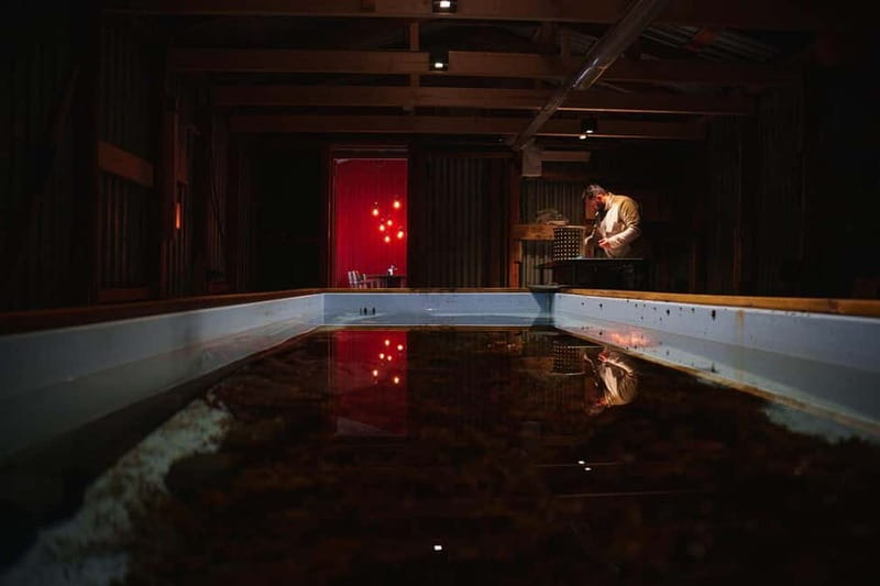 Tromsø: Tasty King Crab Adventure - Two courses built around one excellent ingredient