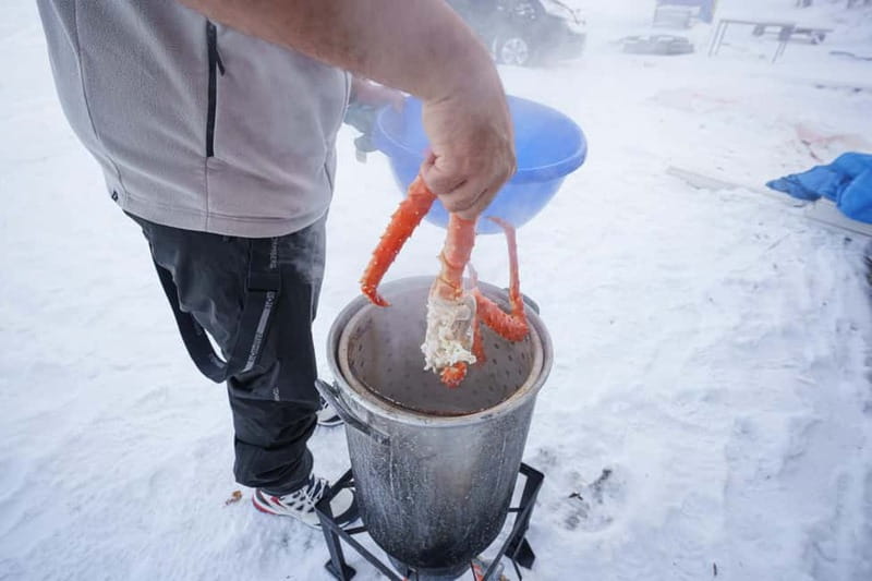 Tromsø: Tasty King Crab Adventure - Is $245 a fair price?