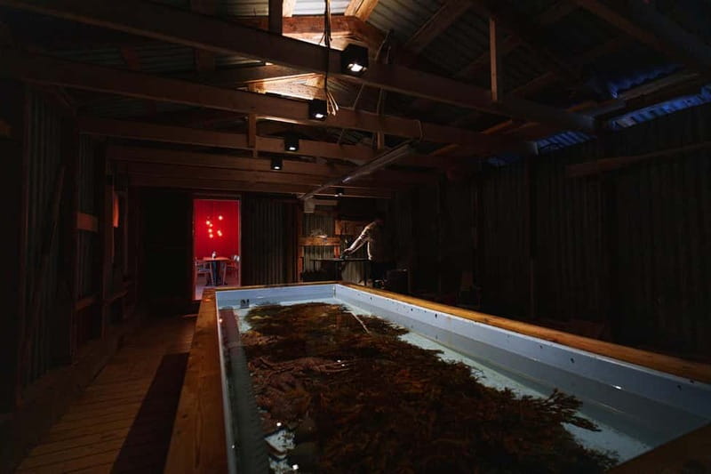 Tromsø: Tasty King Crab Adventure - A few practical tips for a smoother visit