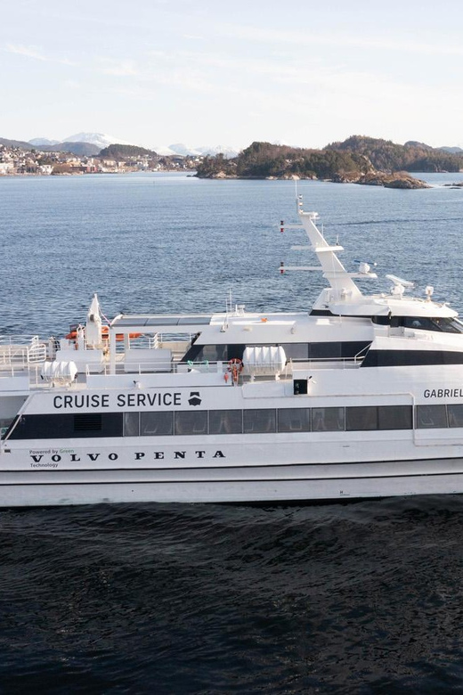 Tromsø Whale Safari with MS Gabriele - The sea crossing and the seasickness question