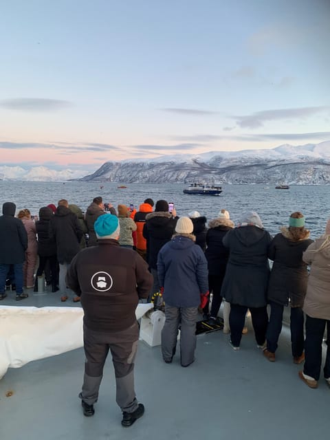 Tromsø Whale Safari with MS Keiser Wilhelm - Should you book the Keiser Wilhelm whale safari?